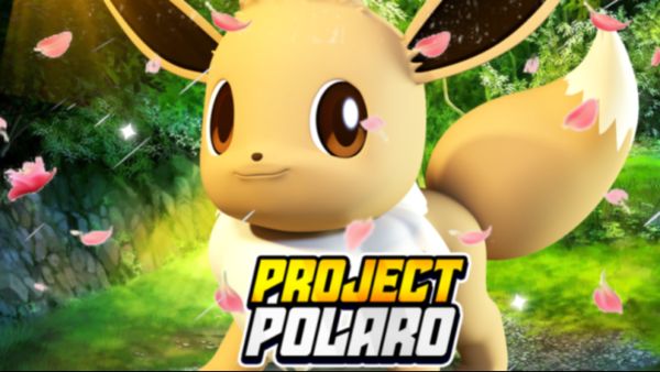 Codigos Project Polaro