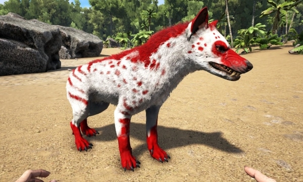Tamear a un Hyaenodon en Ark Survival Evolved Hiena