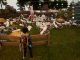 Palworld Mau Gold Farming Guide