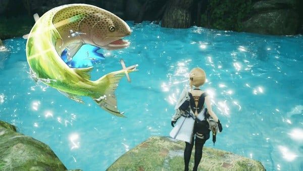 how to catch all rare fish in harvestella
