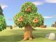 animal crossing new horizons money tree