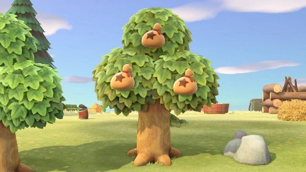 animal crossing new horizons money tree