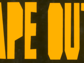 From Beginner to Pro: Navigating APE OUT's Challenges