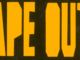 From Beginner to Pro: Navigating APE OUT's Challenges