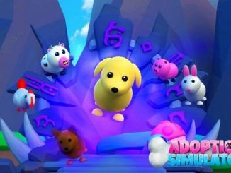 Adoption Simulator Codes