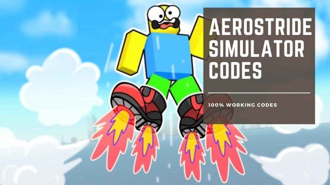Aerostride Simulator Codes