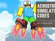 Aerostride Simulator Codes