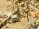 How to Get Lightning in the Age of Mythology Retold