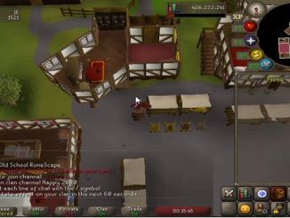 Agility Training OSRS