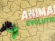 Animal Evolution Simulator Codes