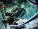 Attack on Titan Vengeance Codes