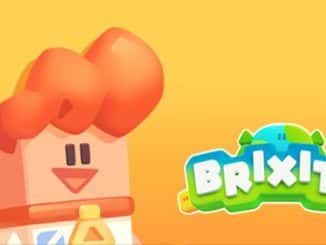BRIXITY Codes