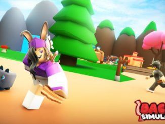 Bacon Simulator Codes