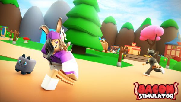 Bacon Simulator Codes