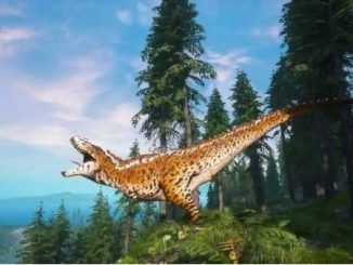 Beast of Bermuda Maps