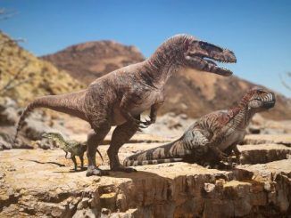Beasts of Bermuda Cheats & Console Commands