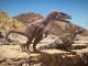 Beasts of Bermuda Cheats & Console Commands