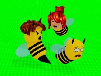 Beeface Codes