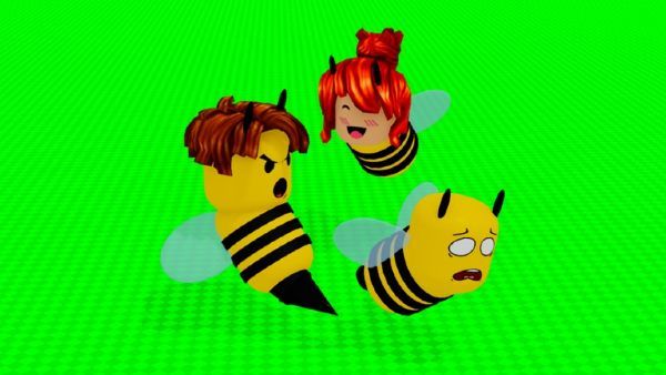 Beeface Codes