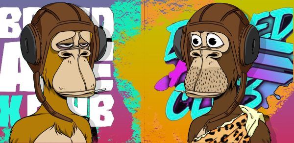 Best Bored Ape Club NFT