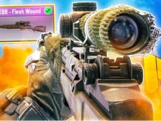 Best M21 EBR Loadout COD Mobile