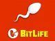 Bitlife Achievements Guide