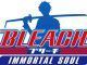 Bleach Immortal Soul Codes code