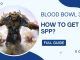 How To Get SPP in Blood Bowl 3