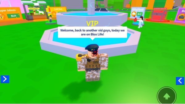 Blox Life Codes