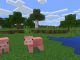 Boost FPS in Minecraft improve
