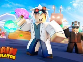 Brain Simulator Codes