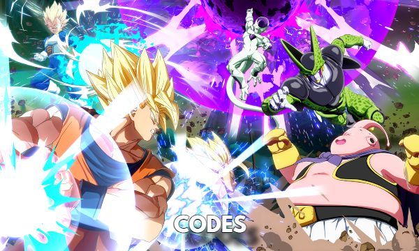 Budo Universe Warrior Codes