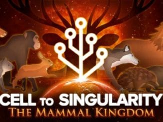 Cell To Singularity Codes