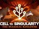 Cell To Singularity Codes