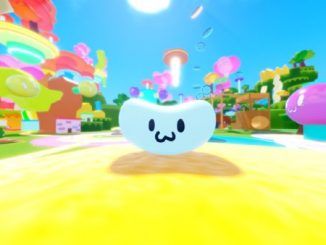 Chaotic Bean Simulator Codes