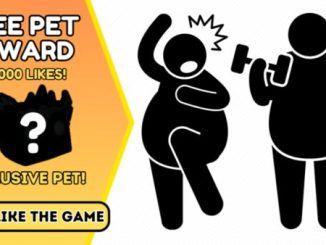 Chubby Simulator Codes