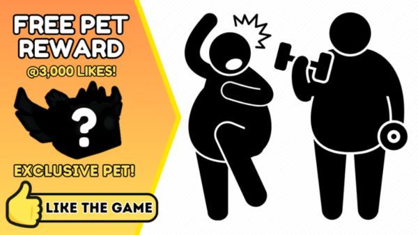 Chubby Simulator Codes
