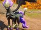 Complete Frostallion Noct Breeding Guide for Palworld