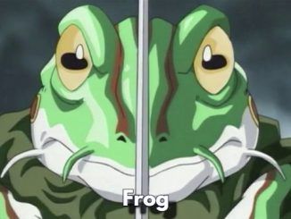 Complete Stat Progression Table for Frog in Chrono Trigger
