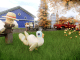 Cut The Grass RP Codes
