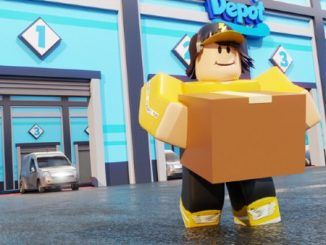 Delivery Simulator Codes