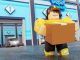 Delivery Simulator Codes
