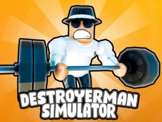 Destroyerman Simulator Codes