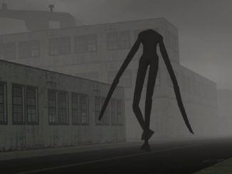Disaster City Codes