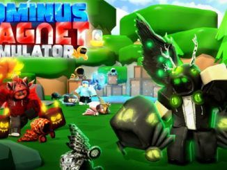 Dominus Magnet Simulator Codes