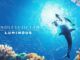Endless Ocean Luminous How to Get Fish to Follow You