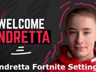 Endretta Fortnite Settings