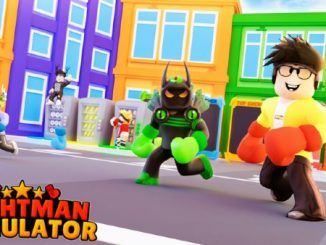 Fightman Simulator Codes