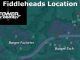 Find Fiddleheads Location Tower Of Fantasy