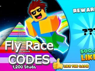Fly Race Codes Roblox